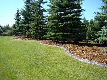 Gallery: BMD Landscapes